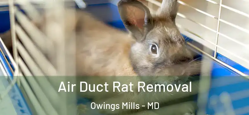  Air Duct Rat Removal Owings Mills - MD
