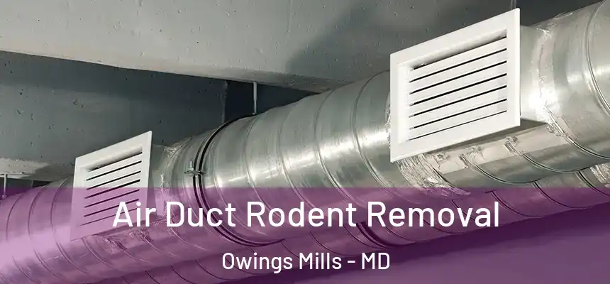  Air Duct Rodent Removal Owings Mills - MD
