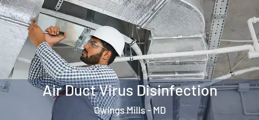  Air Duct Virus Disinfection Owings Mills - MD