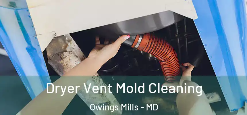  Dryer Vent Mold Cleaning Owings Mills - MD
