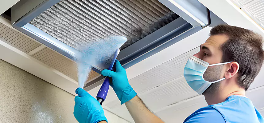 Proactive Dryer Vent & Auxiliary Duct Pollen Cleanup in Owings Mills, MD