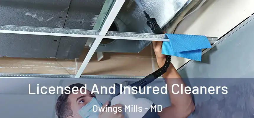  Licensed And Insured Cleaners Owings Mills - MD