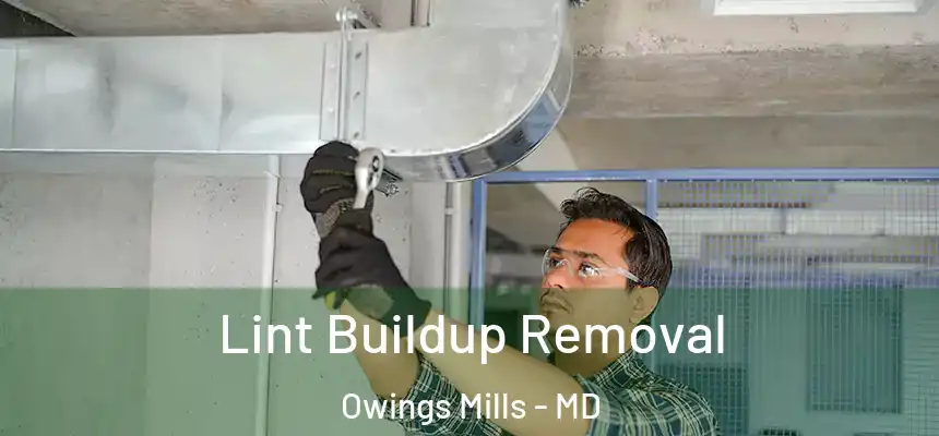  Lint Buildup Removal Owings Mills - MD