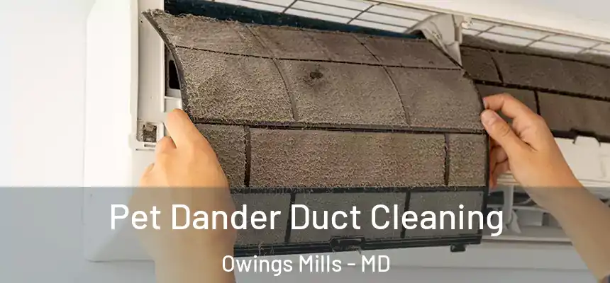  Pet Dander Duct Cleaning Owings Mills - MD