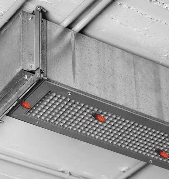 About Air Duct Cockroach Removal in Owings Mills, MD