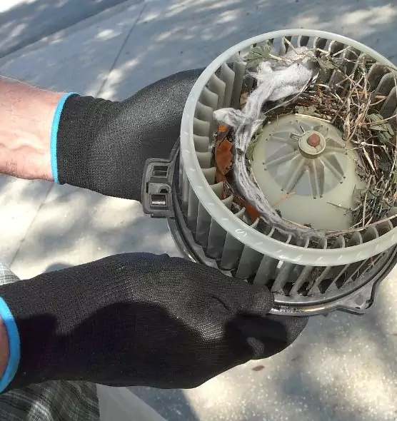 About Air Duct Mice Removal in Owings Mills, MD