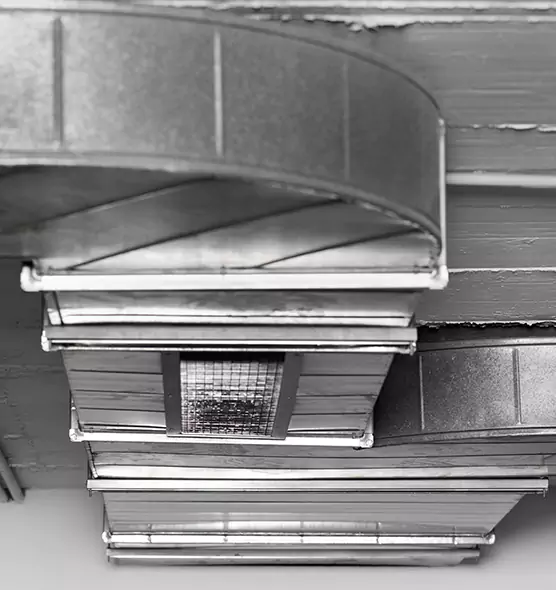 Professional Air Duct Pet Hair Removal in Owings Mills, MD