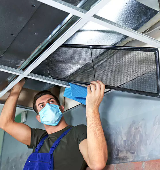 Professional Air Duct Pollen Cleaning in Owings Mills, MD
