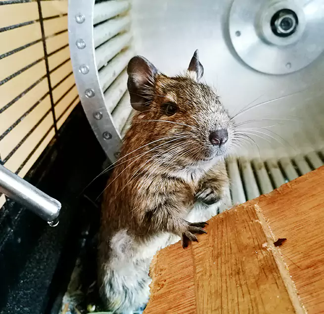 Why Homeowners & Businesses Trust Us Owings Mills, MD?